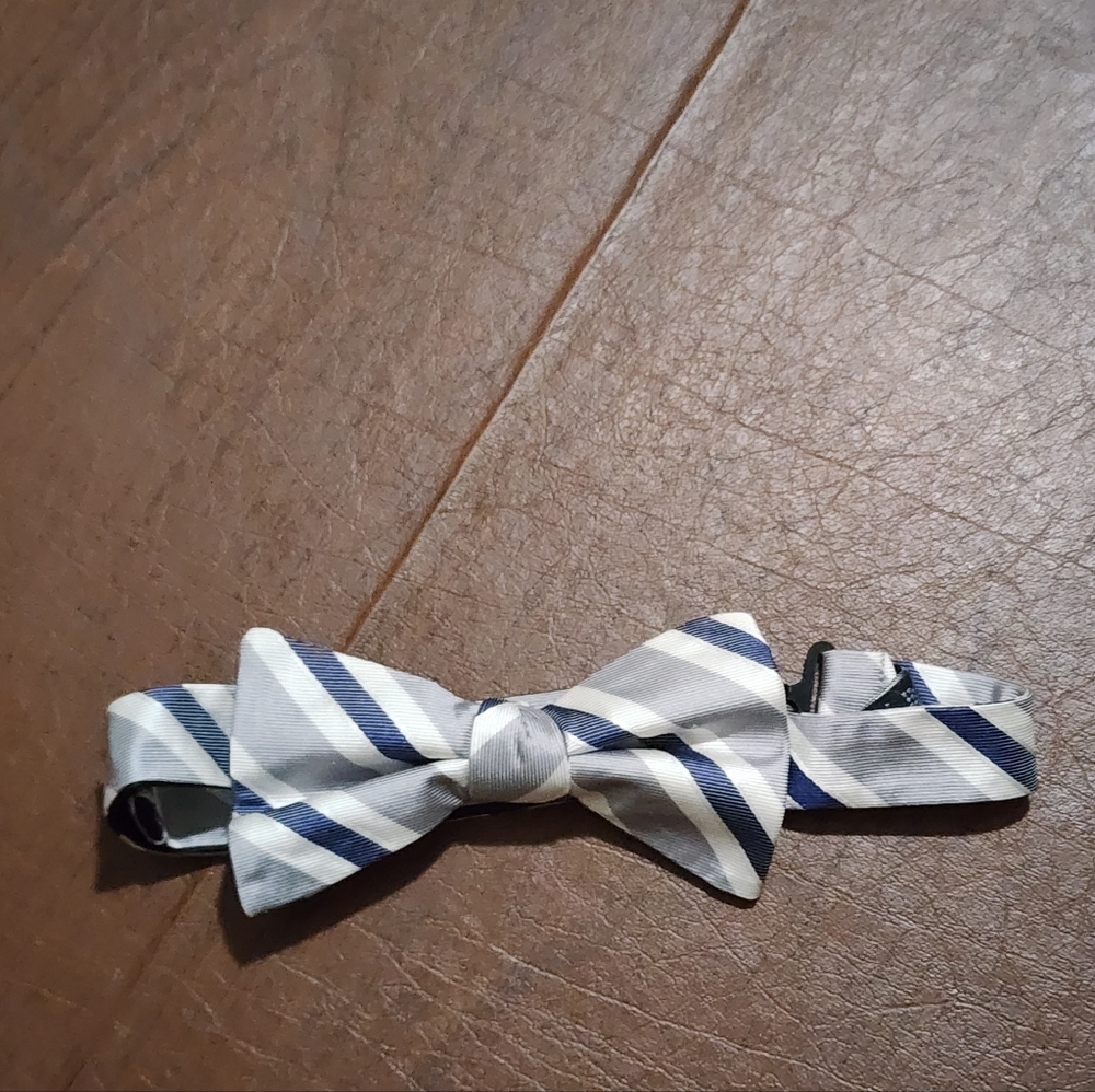Express Striped Blue and White Bow Tie